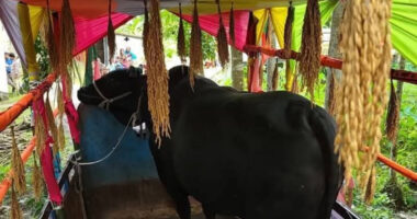 'কালো মানিক’ উপহার না নিয়ে,ফেরত পাঠালেন খালেদা জিয়া, চেয়েছেন দোয়া