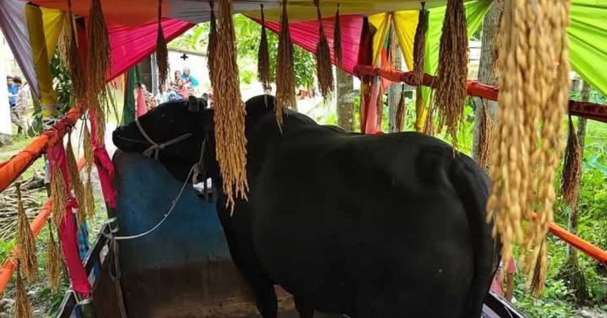 ‘কালো মানিক’ উপহার না নিয়ে,ফেরত পাঠালেন খালেদা জিয়া, চেয়েছেন দোয়া