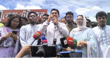 বিএনপি হয়তো মনে করছে তারা ক্ষমতায় আসবে : সারজিস আলম