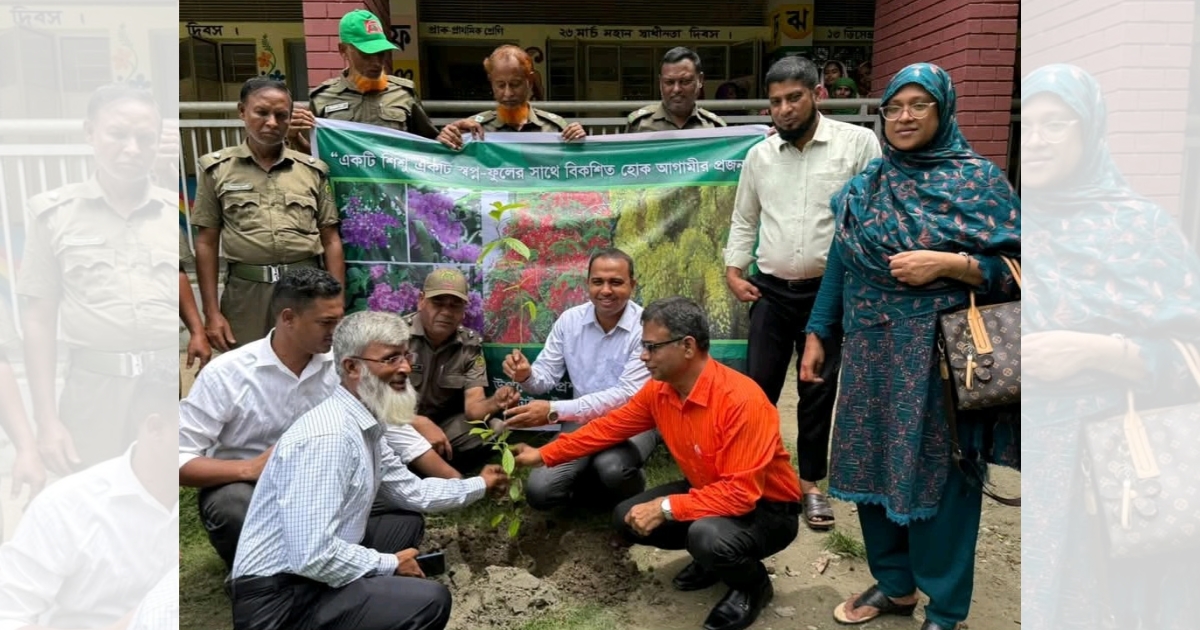 টাঙ্গাইলে সরকারি প্রাথমিক বিদ্যালয়গুলোতে বৃক্ষরোপণ কর্মসূচি পালিত হয়েছে