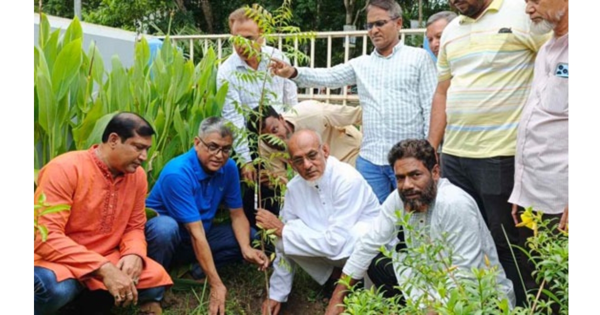 বিশ্ব পরিবেশ দিবস উপলক্ষে পিরোজপুরে বিএনপি’র বৃক্ষরোপণ