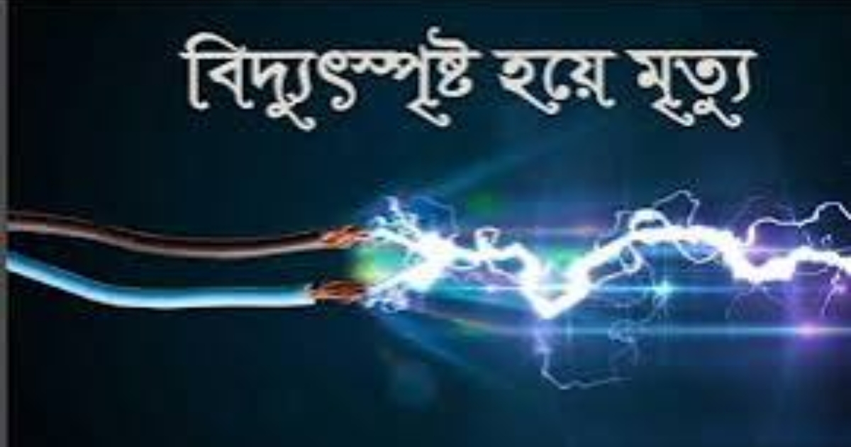 নীলফামারীর চিলাহাটিতে বিদ্যুৎপৃষ্ট হয়ে একজনের মৃত্যু