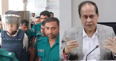 ‘রিভলবার দিয়ে আমাকে মেরে ফেলুন’ কাঠগড়ায় পিপিকে বললেন হাবিবুল