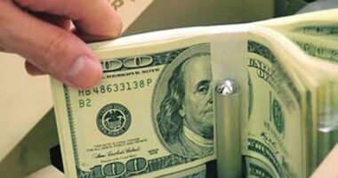 বৈদেশিক মুদ্রার রিজার্ভ ৩০ বিলিয়ন ডলার ছাড়াল