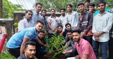 বিশ্ব পরিবেশ দিবসে দীঘিনালা সরকারি ডিগ্রী কলেজ ছাত্রদলের উদ্যোগে বৃক্ষরোপণ কর্মসূচি