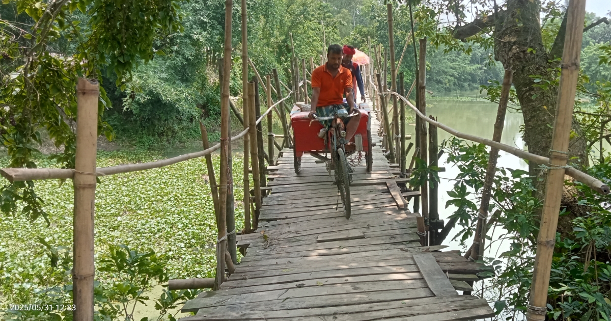 টাঙ্গাইলে চব্বিশ গ্রামের মানুষের যাতায়াতের একমাত্র ভরসা ঝুঁকিপুর্ণ বাঁশের সাঁকো