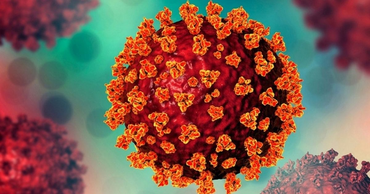 দেশে ২৪ ঘণ্টায় ১৩ জনের করোনা শনাক্ত