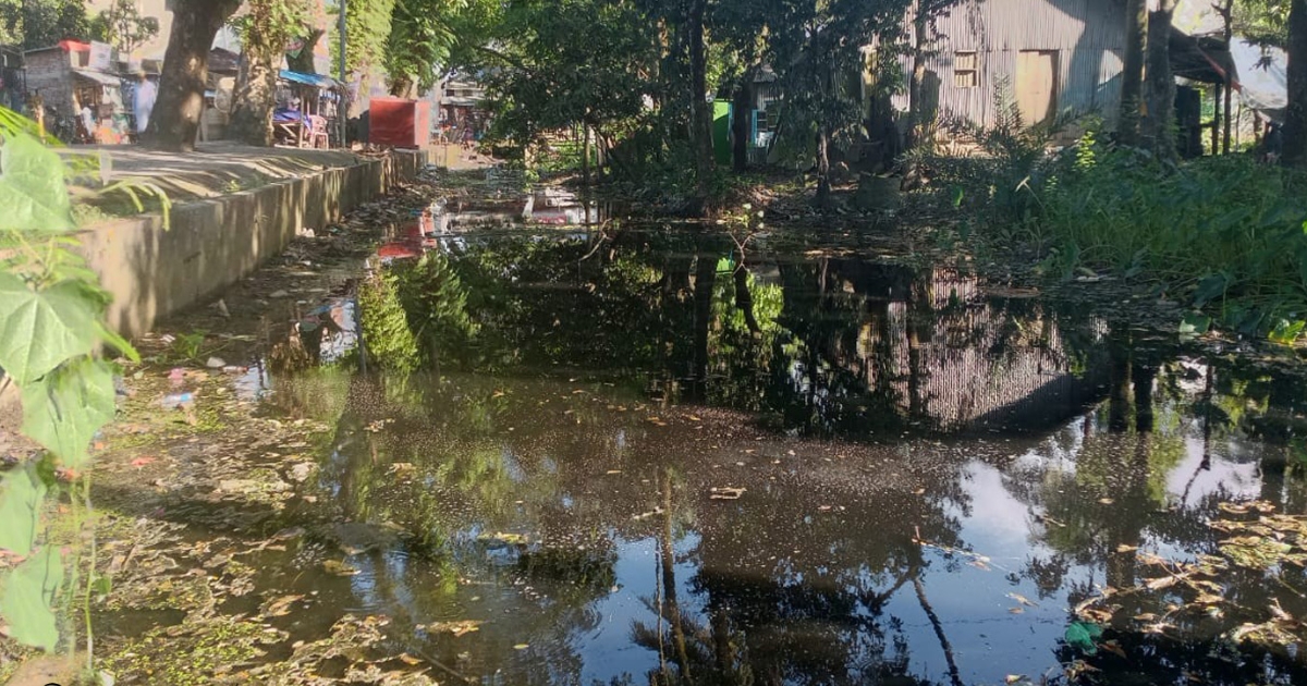 পরিবেশ দুষণ ও মশার উৎপাত বাড়লেও উদাসীন আমতলী পৌর কর্তৃপক্ষ