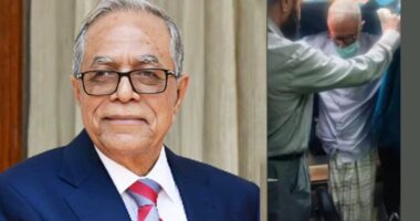 দেশে ফিরলেন সাবেক রাষ্ট্রপতি আবদুল হামিদ