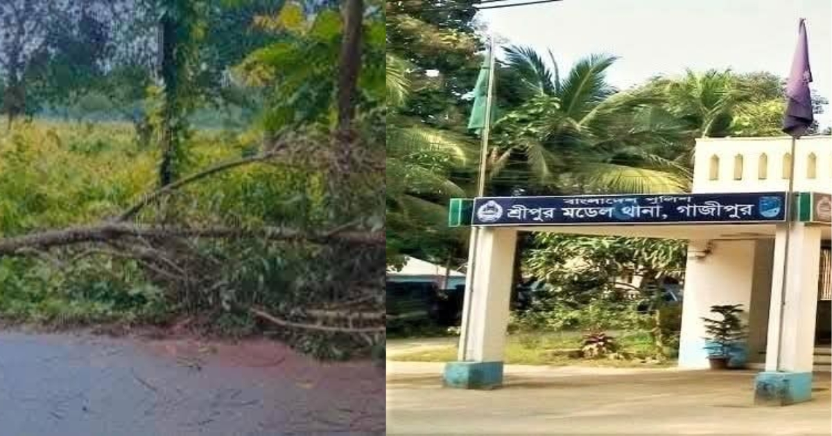 গভীর রাতে রাস্তায় গাড়ি আটকে ডাকাতি, সিএনজি চালকসহ ১ ডাকাত নিহত