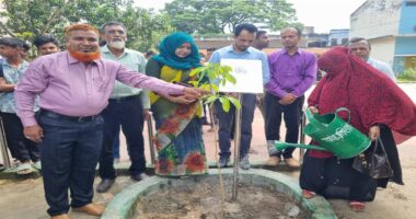 ধামইরহাটে শহিদ বায়োজিদ স্মরণে এক শহিদ এক বৃক্ষ কর্মসূচি অনুষ্ঠিত
