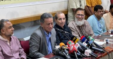 অস্ট্রেলিয়া চাচ্ছে বাংলাদেশে একটি সুষ্ঠু নির্বাচন হোক : আমীর খসরু