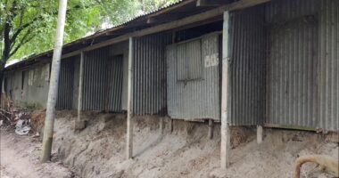 ভূঞাপুরে আশ্রয়ণের নামে আশ্রয়হীনতা