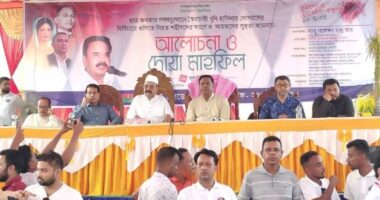 দেশের মানুষ যেটা বুঝে না তা গেলানোর চেষ্টা করবেন না : গয়েশ্বর চন্দ্র রায়