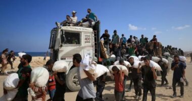 ত্রাণ নিতে এসে ইসরায়েলি হামলায় নিহত ৬৭ ফিলিস্তিনি