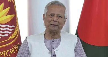 রাষ্ট্রীয় সম্মাননা পাবেন মাইলস্টোনে বিমান দুর্ঘটনায় নিহত ২ শিক্ষক