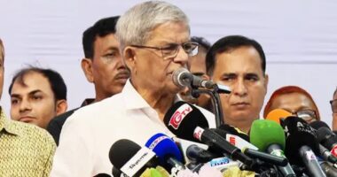 দেশ-বিদেশ থেকে ভাড়া করা লোক দিয়ে রাষ্ট্র পরিচালনা করা যায় না : মির্জা ফখরুল