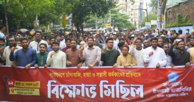 প্রতিটা পাড়া মহল্লায় চাঁদাবাজদের বিরুদ্ধে গণ প্রতিরোধ গড়ে তুলুন : সাদিক কায়েম