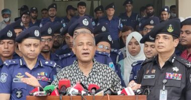 নির্বাচনের আগে সব অবৈধ অস্ত্র উদ্ধার করা হবে: স্বরাষ্ট্র উপদেষ্টা