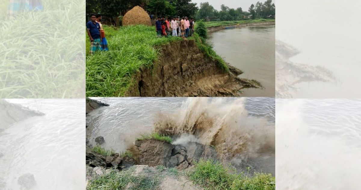 বাঙালি নদী ভাঙনে প্রায় ১২০ বিঘা ফসলি জমি নদীগর্ভে বিলীন, হুমকিতে পাঁচটি গ্রাম