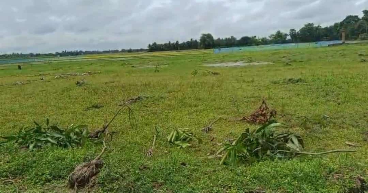 মহিপুর থানার ডালবুগঞ্জে স্থানীয় কৃষকের জমি ও ঘের দখলের অভিযোগ যুবদল নেতাদের বিরুদ্ধে