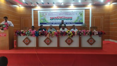 আনারসে ক্ষতিকর রাসায়নিক ব্যবহারকারিদের খুনি বললেন ইউএনও