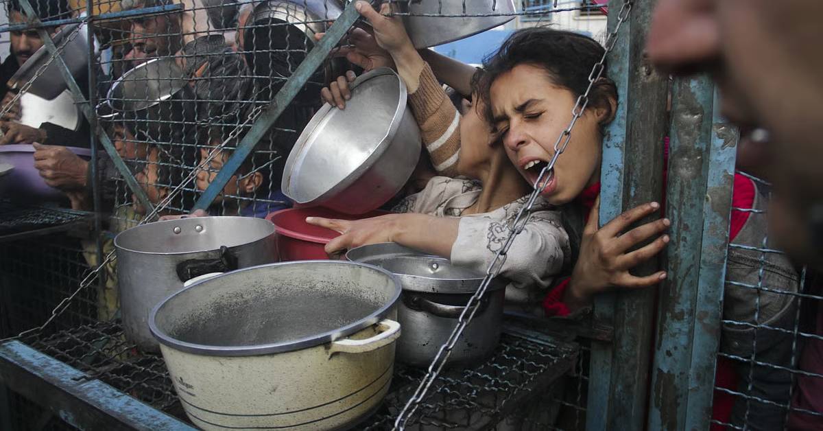 গাজার দুর্ভিক্ষ নিয়ে আমেরিকান ডাক্তারের বেদনাদায়ক প্রতিবেদন