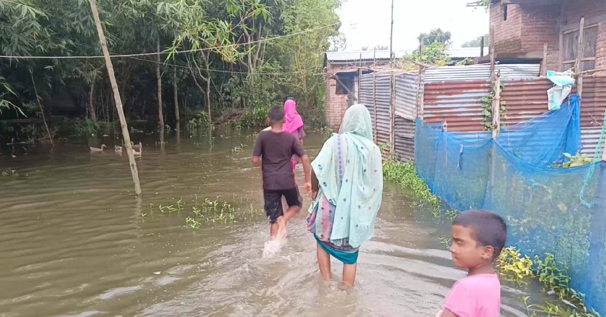 সরেজমিনে মেহেরপুরের গাংনীর কাজিপুর গ্রাম দুই মাস ধরে পানিবন্দী শতাধিক পরিবার