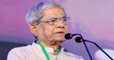 গণতন্ত্রে কাদা ছোড়াছুড়ি হবে, কিন্তু এর একটা সীমা থাকা দরকার: মির্জা ফখরুল