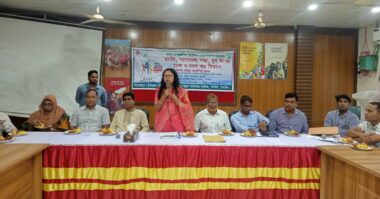 বাসাইলে জাতীয় ও আন্তর্জাতিক যুব দিবস পালিত