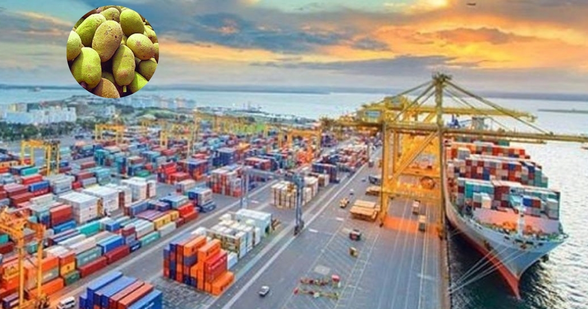 আকাশপথের পর এবারই প্রথম সমুদ্রপথে দুবাইতে কাঁঠাল রপ্তানি করলো বাংলাদেশ