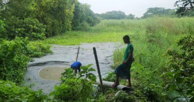 টঙ্গীবাড়ীতে অবৈধ ড্রেজার বসিয়ে বালু ভরাটের অভিযোগে ড্রেজার পাইপ ধ্বংস