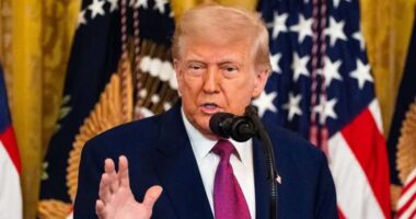 রাশিয়া বিশাল এক শক্তি, যুদ্ধ বন্ধে ইউক্রেনের উচিত চুক্তি করা : ট্রাম্প