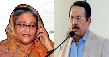 জাতীয় পার্টি জিন্দা লাশ, তাদের দিয়ে আমাদের কি আসে যায়, দরকার নাই তাদেরকে : হাসিনা