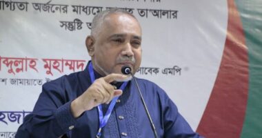 তারা জানে পিআর পদ্ধতিতে নির্বাচন হলে ক্ষমতায় যেতে পারবে না : তাহের