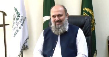 চার দিনের সফরে ঢাকা আসছেন পাকিস্তানের বাণিজ্যমন্ত্রী