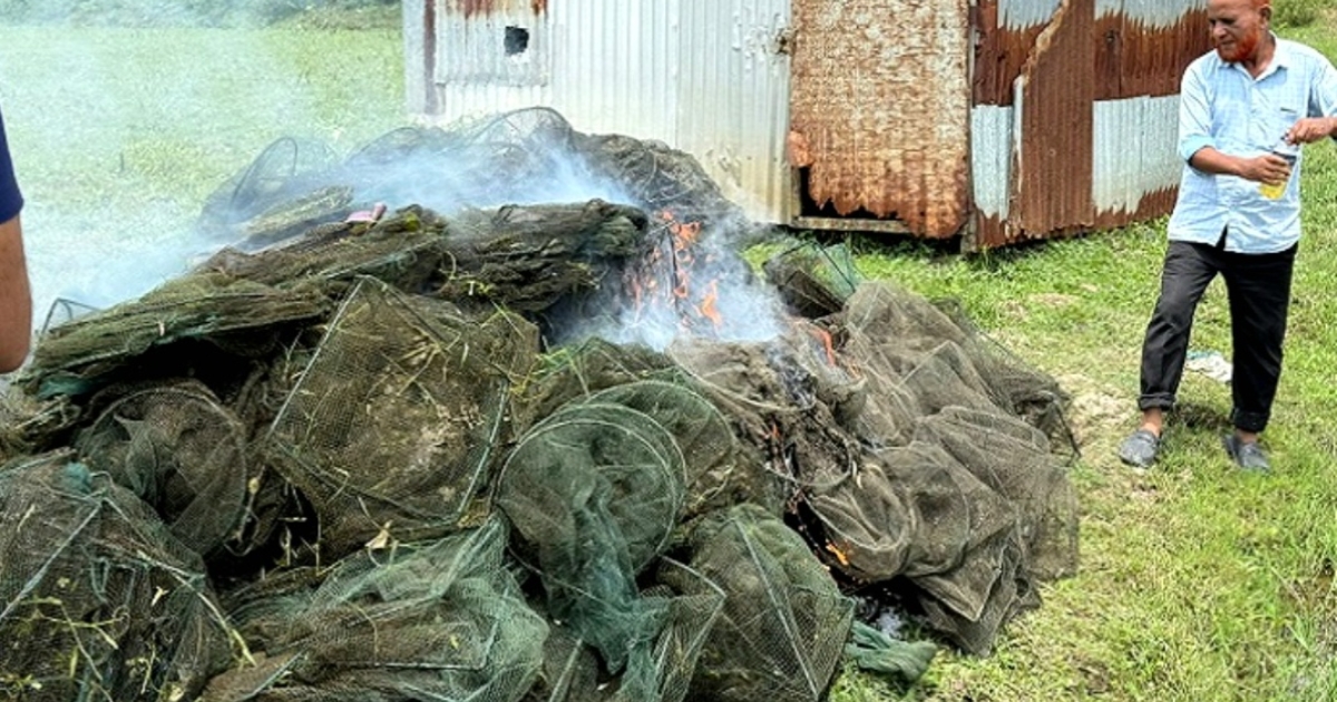ঘাটাইলে প্রায় ৪ লাখ টাকার চায়না জাল পুড়িয়ে দিল ভ্রাম্যমান আদালত