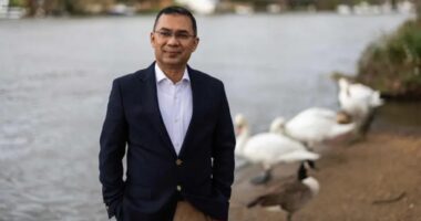 ক্ষমতায় এলে পাঁচ বছরে ২৫ কোটি গাছ লাগাবে বিএনপি,থাকবে খাল খনন কর্মসূচিও : তারেক রহমান