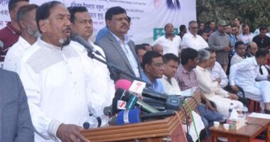 স্বাধীনতাবিরোধী ও সরকারসৃষ্ট দল দুটি পিআর পদ্ধতিতে নির্বাচন চায় : হাফিজ উদ্দিন