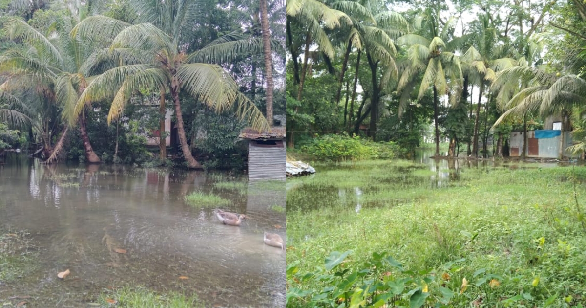 সুবর্ণচরে প্রভাবশালীদের দখলে এখনও অনেক খাল, উদ্ধারে নেই কোন উদ্যোগ