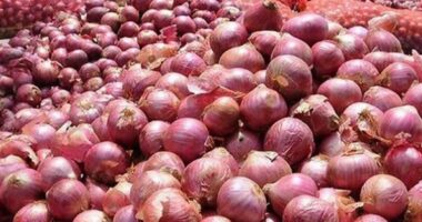 হঠাৎ করে আমদানি আইপি বন্ধ, ভারতে আটকা পড়েছে পেঁয়াজের শতাধিক ট্রাক