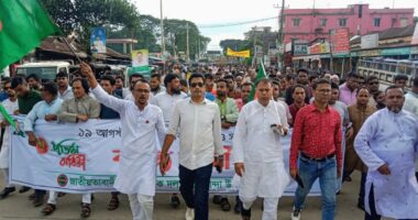 তারাকান্দায় সৃজনশীল রাজনীতিতে এগিয়ে আহবায়ক ছায়াদুল ও স্বপন