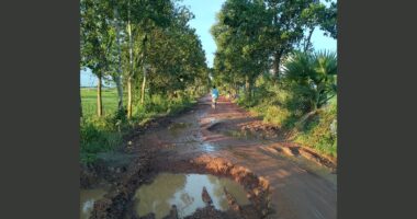 শিবগঞ্জের কুড়াহার পুলিশ বক্স থেকে কামতারা পর্যন্ত এটা কি রাস্তা না মরণ ফাঁদ