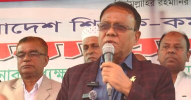 খালাস পেলেন বিএনপি নেতা সেলিম ভূঁইয়া