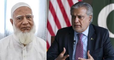 পাকিস্তানের পররাষ্ট্রমন্ত্রীর সঙ্গে বৈঠকে জামায়াতে ইসলামী