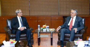 বৈঠক শেষে পাকিস্তানের উপ-প্রধানমন্ত্রীর সঙ্গে নৈশভোজে বিএনপি নেতারা