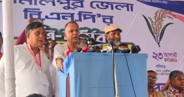 একাত্তরেও আ.লীগ পালিয়েছে, এবারও পালিয়ে গেছে : টুকু