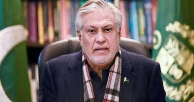 আজ ঢাকায় আসছেন পাকিস্তানের পররাষ্ট্রমন্ত্রী ইসহাক দার