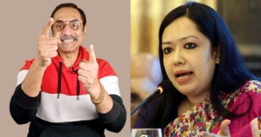 শেখ রুমিন, তুমি যে গর্তে থেকে ‘প্লট প্লট’ বলে চিৎকার করতা সেখান থেকে তোমাদের উদ্ধার করেছে হাসনাতরা : পিনাকী