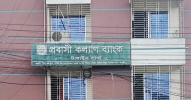 বিদেশ যাত্রার স্বপ্ন পূরনে প্রবাসী কল্যাণ ব্যাংক